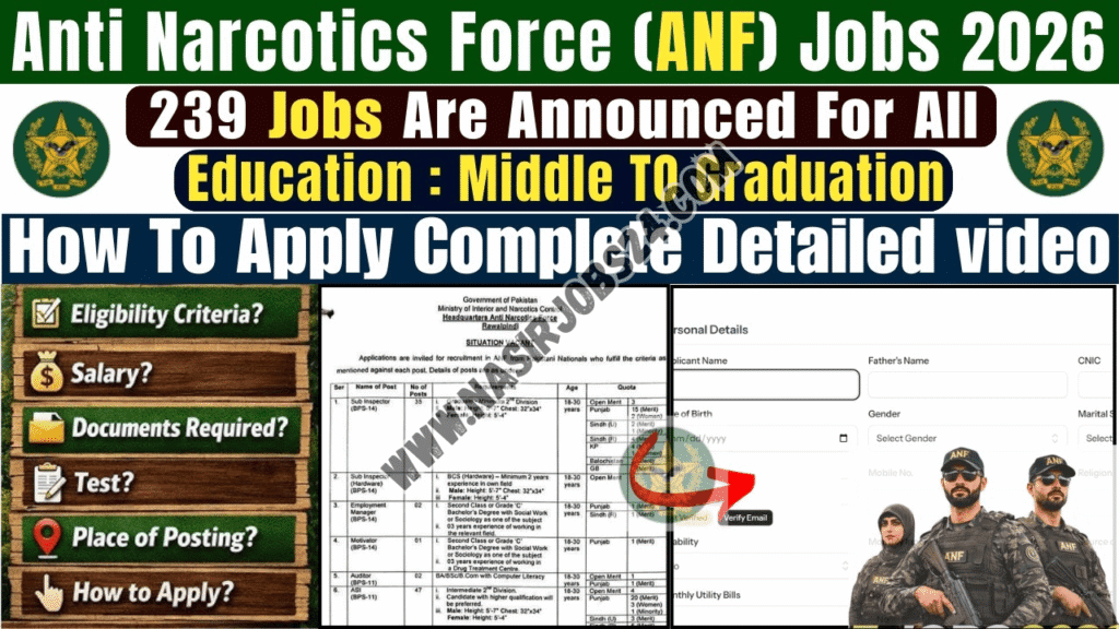 ANF Jobs