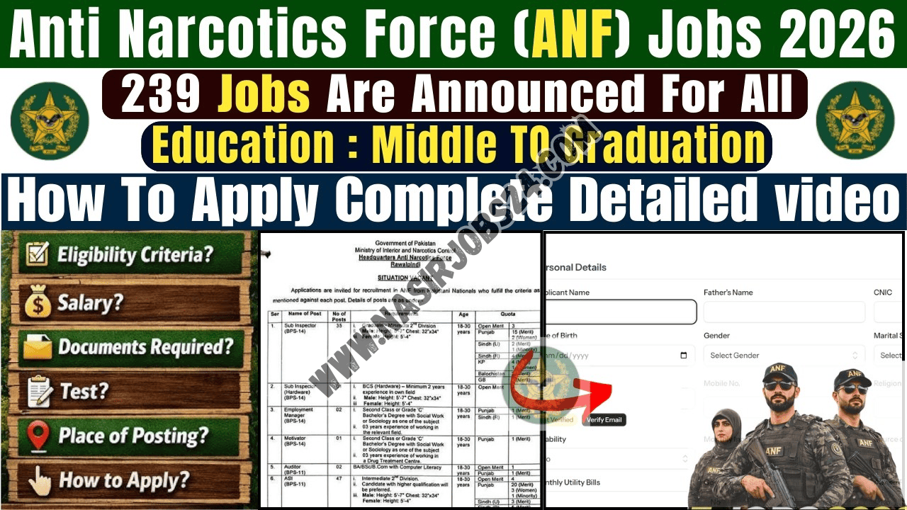 ANF Jobs