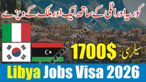 OEC Libya Jobs